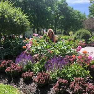 Meet your Posher, Ani